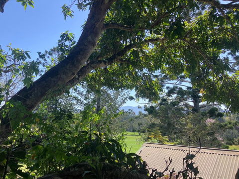 Potters Cottage - Accommodation Whitsundays 3