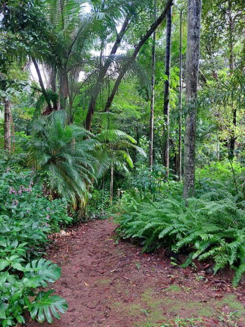 Rainforest Retreat-Fireplace-BBQ-3 Acres- - Accommodation Whitsundays 0