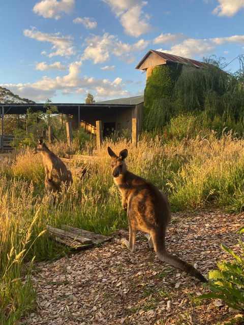 Private Country Escape With Valley Views - Accommodation Whitsundays 2