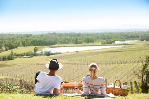 Audrey Wilkinson Vineyard - Accommodation Whitsundays 0