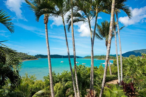 Baybliss Apartments Studio 1 - Accommodation Whitsundays 2