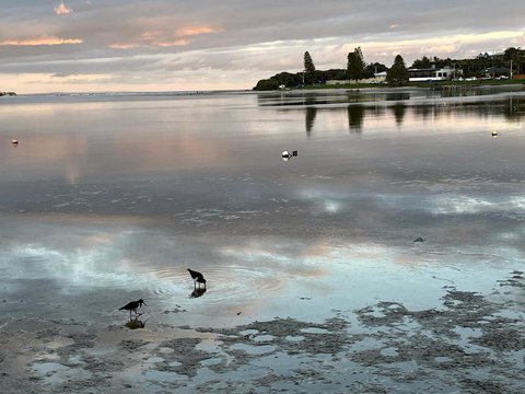 River Studio - Idyllic Location - Accommodation Whitsundays 0