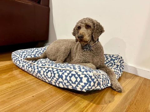 Relax And Reconnect At MaluaBay - Accommodation Whitsundays 1