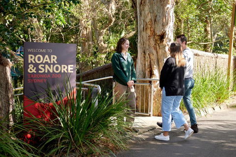Roar And Snore - Accommodation Whitsundays 1