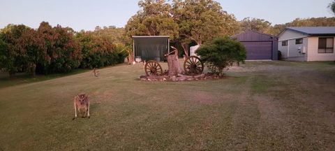Roo Or 2 On Streeter - Accommodation Whitsundays 1