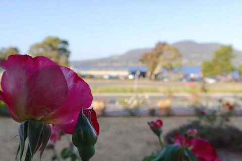 Rose Retreat With Water Front View At Montrose - Accommodation Whitsundays 3