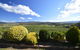 Sancerre Estate - thumb 1
