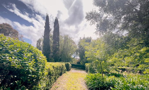 Sanctuary Park Cottages - Accommodation Whitsundays 1