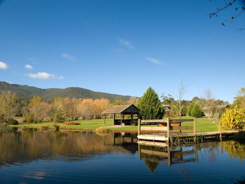 Sanctuary Park Cottages - Accommodation Whitsundays 0