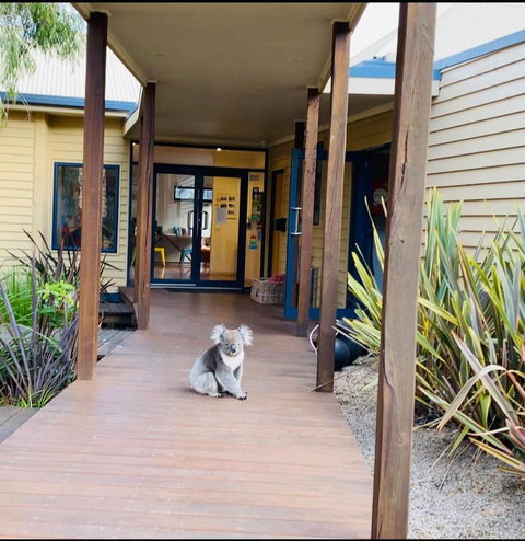 Sandpiper Motel Apollo Bay - Accommodation Whitsundays 3