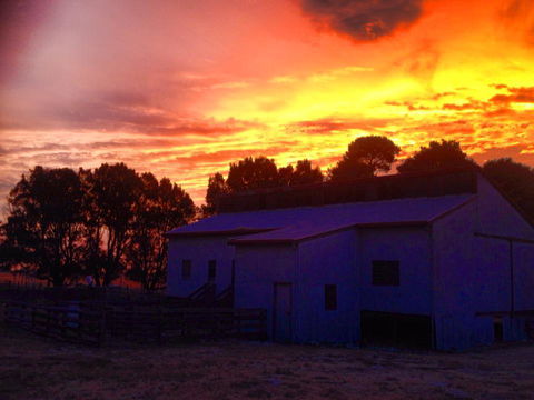 Beggs Farmstay B&B - Accommodation Whitsundays 1