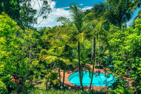 Bella Vista Bellingen - Accommodation Whitsundays 1