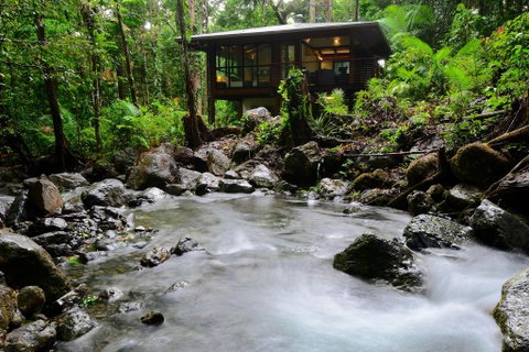 Black Palm Cape Tribulation - Accommodation Whitsundays 2