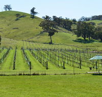 Blue House at Mountainside Wines - Accommodation Whitsundays