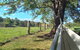 Maison De Lavande Farmstay - thumb 0