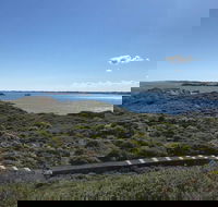 Penguin Island And Fremantle - Canoe Chocolate  Coffee - Accommodation Whitsundays