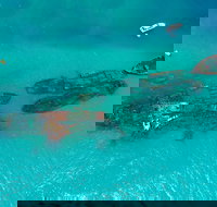 Private Tangalooma Wrecks Tour - Accommodation Whitsundays