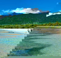 5-Day Best of Cairns with Daintree Kuranda and Great Barrier Reef - Accommodation Whitsundays