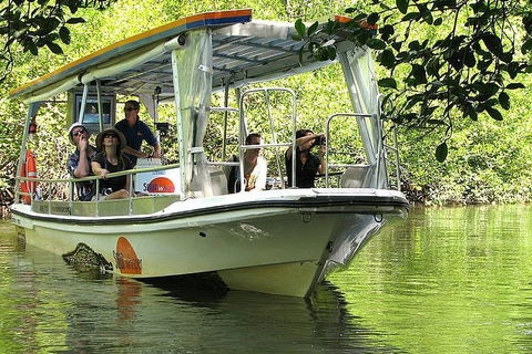 5-Day Best Of Cairns With Daintree, Kuranda, And Great Barrier Reef - Accommodation Whitsundays 1