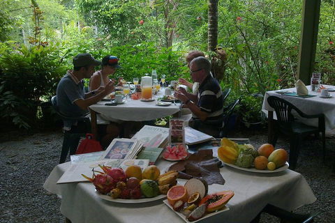5-Day Best Of Cairns With Daintree, Kuranda, And Great Barrier Reef - Accommodation Whitsundays 4