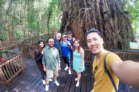 Cairns 4WD Waterfall And Rainforest Tour Including Kuranda Scenic Railway - Accommodation Whitsundays 0