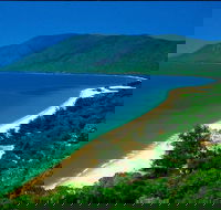 Cairns Reef and Rainforest Combo Daintree Rainforest and the Great Barrier Reef - Accommodation Whitsundays