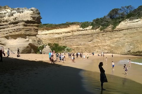 Great Ocean Road Full Day Private Experience - Accommodation Whitsundays 3