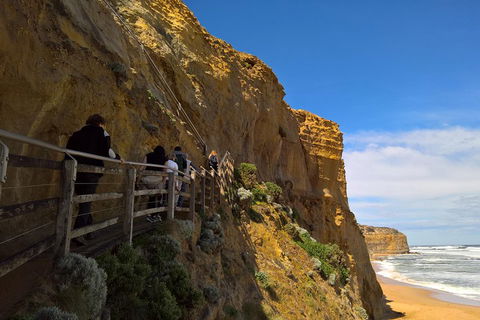 Private Express Experience - 12 Apostles - Accommodation Whitsundays 3