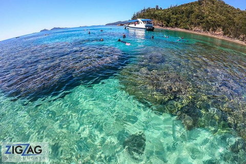Whitehaven Beach Day Tour With Snorkel In Whitsundays Island - Accommodation Whitsundays 5