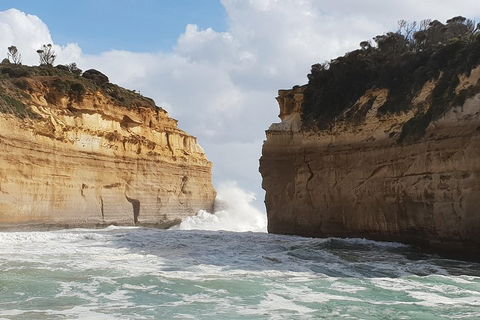 12 Apostles Tour From Warrnambool - Accommodation Whitsundays 2