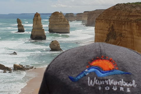 12 Apostles Tour From Warrnambool - Accommodation Whitsundays 4