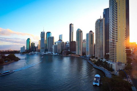 Brisbane City Highlights With Lone Pine! - Accommodation Whitsundays 3