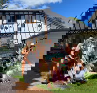 Mt Tamborine ScenicRim Deluxe Wine Tasting and Sightseeeing Tour - Accommodation Whitsundays