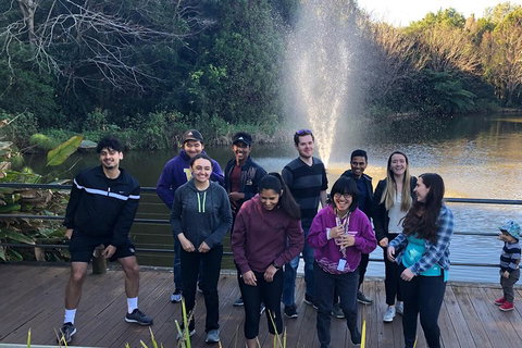 Natural Bridge, Skywalk And Mt Tamborine Adventure! - Accommodation Whitsundays 4