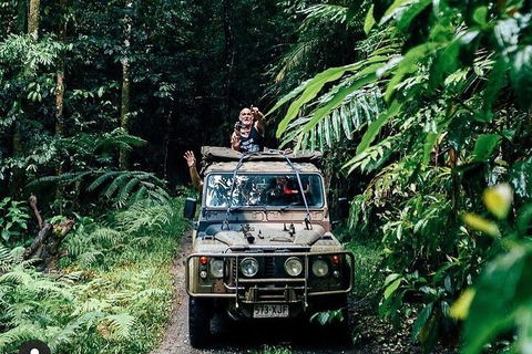 Full Day Tour In The Daintree - Accommodation Whitsundays 4