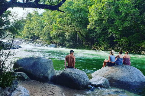 Afternoon Half-Day Daintree Rainforest And River Tour - Accommodation Whitsundays 0