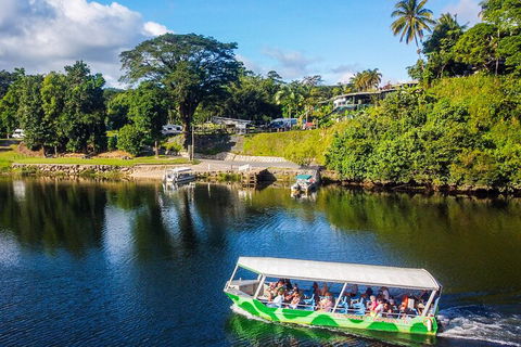 Afternoon Half-Day Daintree Rainforest And River Tour - Accommodation Whitsundays 1