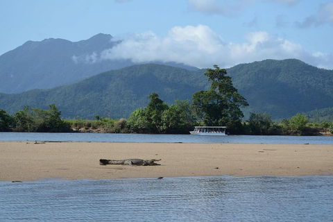 Afternoon Half-Day Daintree Rainforest And River Tour - Accommodation Whitsundays 2
