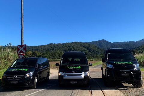 Afternoon Half-Day Daintree Rainforest And River Tour - Accommodation Whitsundays 4