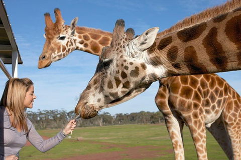 Melbourne City Card (2 Days): Visit Unlimited Attractions! - Accommodation Whitsundays 1