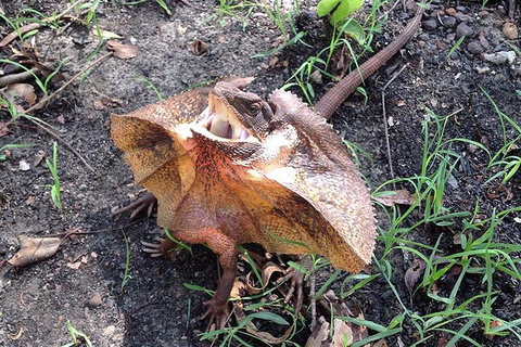 Litchfield National Park And Jumping Crocodile Cruise - Accommodation Whitsundays 1