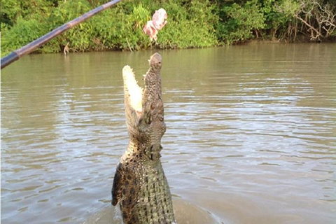 Litchfield National Park And Jumping Crocodile Cruise - Accommodation Whitsundays 2