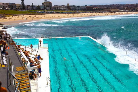 Private Sydney Half Day Tour Including Sydney Opera House And Bondi Beach - Accommodation Whitsundays 1