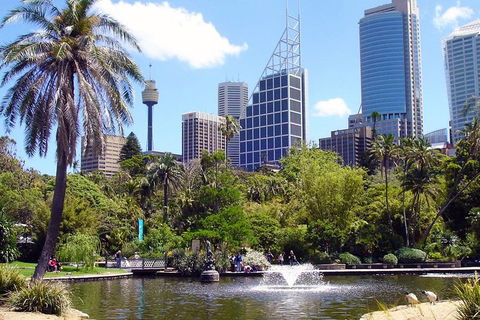 Private Sydney Half Day Tour Including Sydney Opera House And Bondi Beach - Accommodation Whitsundays 4