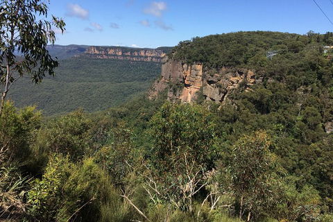 Full-Day Private Blue Mountains Tour With River Cruise - Accommodation Whitsundays 1
