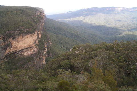 Full-Day Private Blue Mountains Tour With River Cruise - Accommodation Whitsundays 3