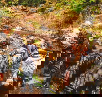 Full-day Springbrook National Park Tour from the Gold Coast - Accommodation Whitsundays