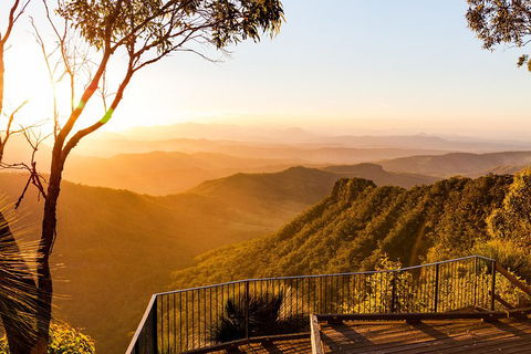 O'Reilly's & Lamington National Park Incl. Alpaca Farm + Vineyard - Accommodation Whitsundays 0