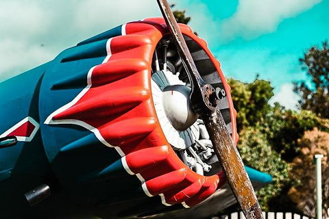 O'Reilly's & Lamington National Park Incl. Alpaca Farm + Vineyard - Accommodation Whitsundays 1