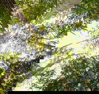 Fraser Island 4WD Tour from Noosa - Accommodation Whitsundays